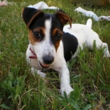 Moi BB