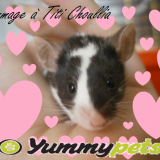 Un hommage à notre frère ♥