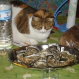 J'en ai déjà l'eau à la bouche !