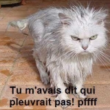 l'est pô content le minou