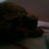 Dur dur le matin. :)