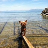Au lac! L eau est trop froide!!!