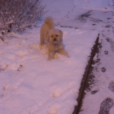 nana et la neige