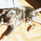 sam♥
