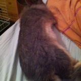 Quand j etais petit .. Jmendormais n importe ou