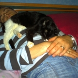Je suis biiiiiiiien sur Papa ;)