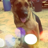 Fidji