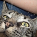 o_O
