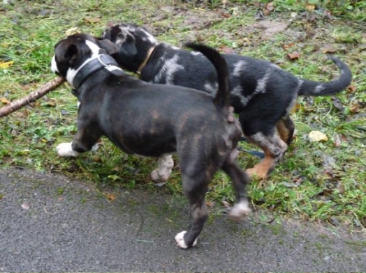 Au coucher du Soleil