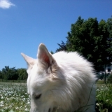Photo de ma Promenade :D