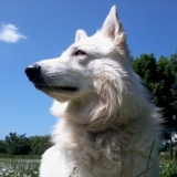Photo de ma Promenade :D