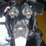 bouh!!!!!