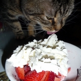 Slurp !
