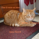 Déscription: