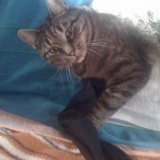 Mode fripon !