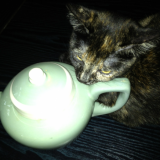 Tea Time !