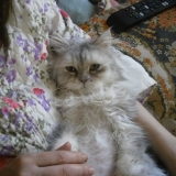 un calin à ma maman ♥.♥
