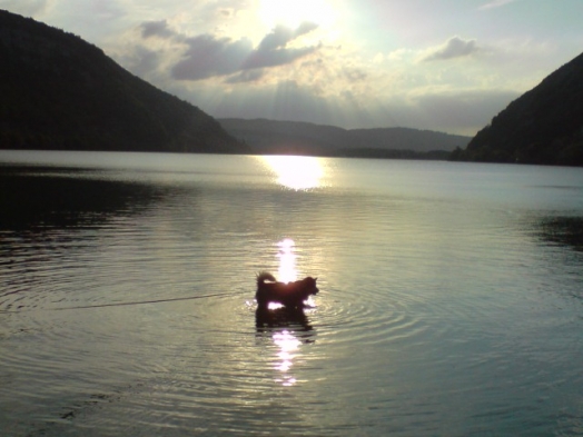 Au coucher du Soleil