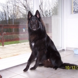 GASKO