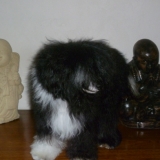 Ethao-Li 