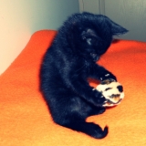 Princesse