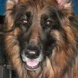 Abby