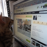 Gary consulte sa page!