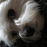~♥ Bounty ♥ ~