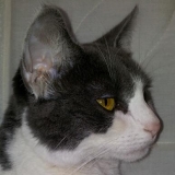 Je suis pensive...