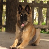 Eyden