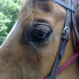 mon oeil ! 