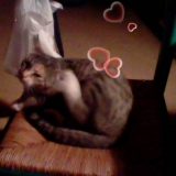 Kenza.♥