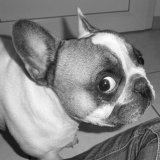 maman m'amene a la douche...