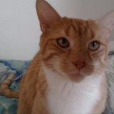 Caramou pose