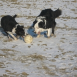 match de foot avec sanka :-)