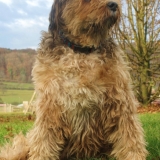 MILOU