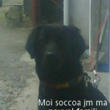socoa