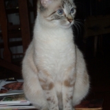 Emmy