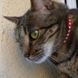 Tina