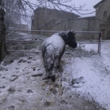 j'adore la neige !