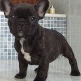 Léon