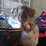 Ezio ♥