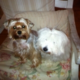 Dylan et Alf