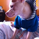 Buckminster