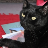 Tom