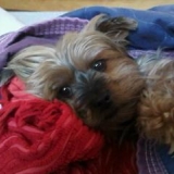valmy