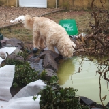 La je bois dans le bassin!!!