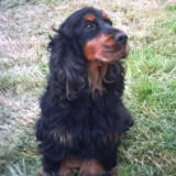 Bouba