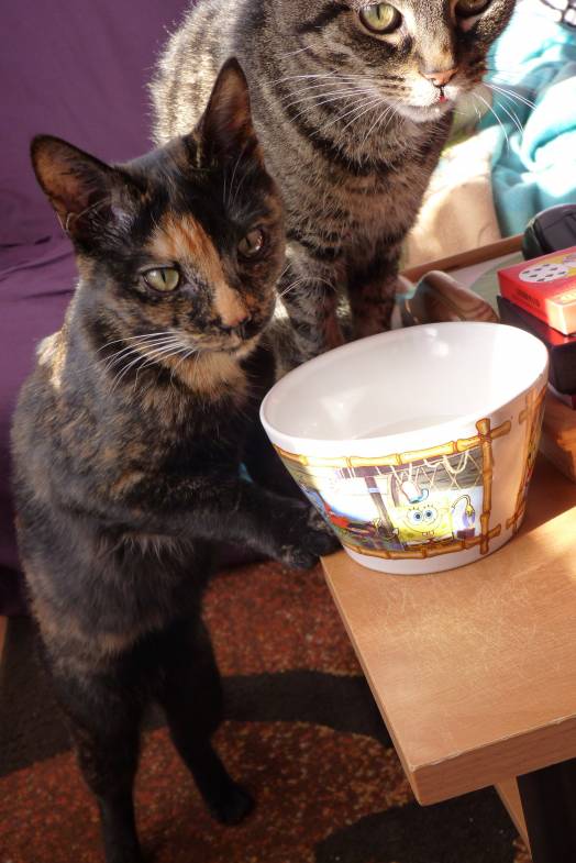 Au coucher du Soleil