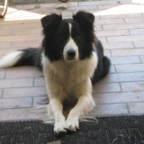 attentive !
